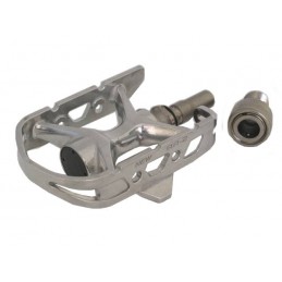 MKS EZY AR-2
